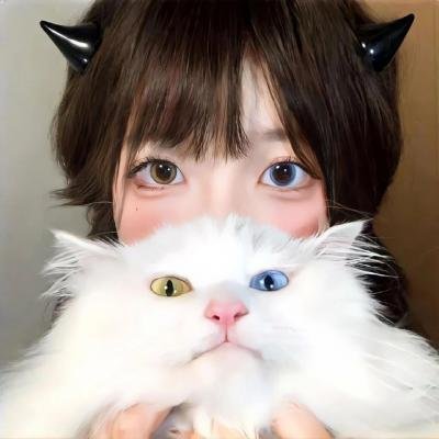 猎头行动